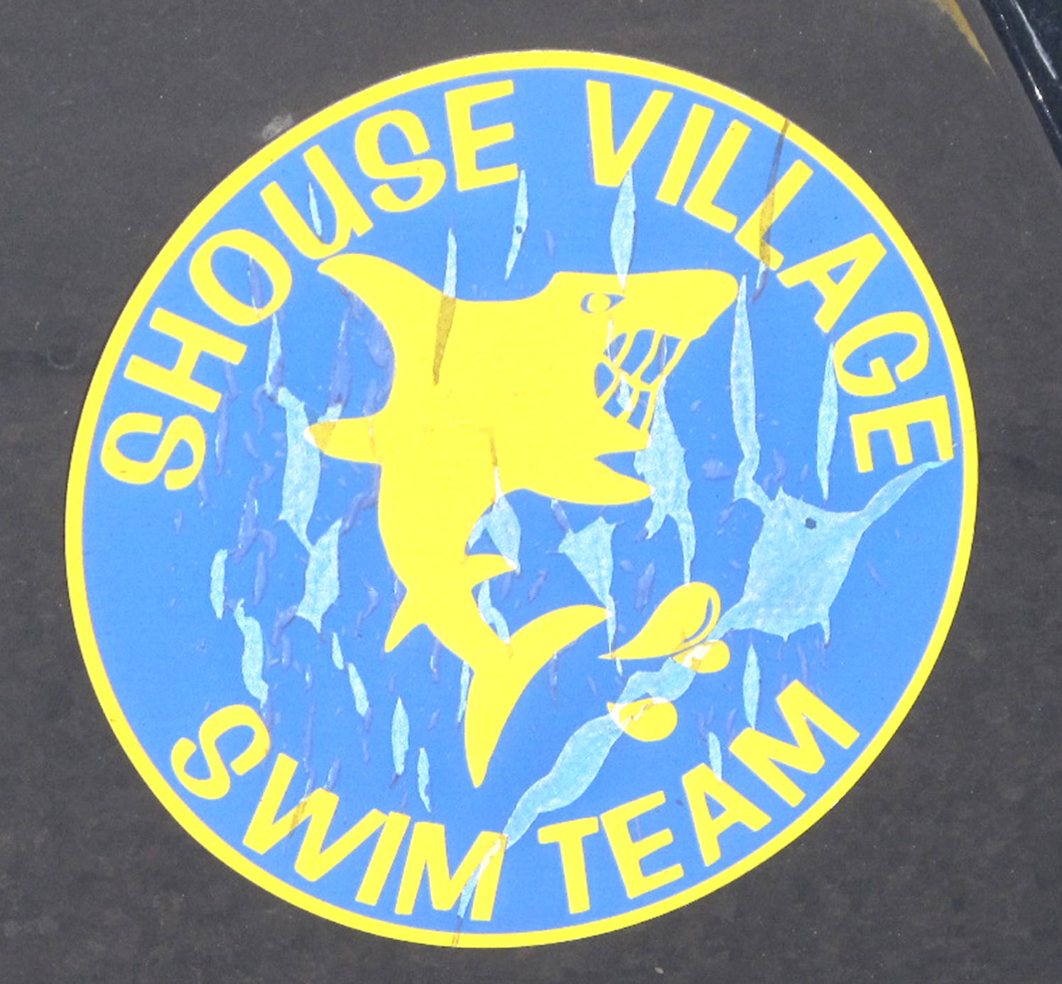 Shouse Village swimming 7